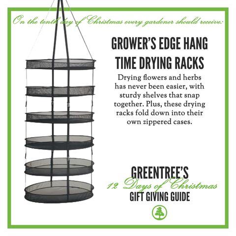 TenthDayofChristmas_GreenTree_DryRack