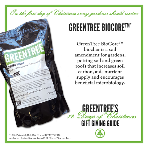 FirstDayofChristmas_GreenTree_BioCore