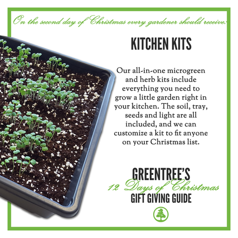 SecondDayofChristmas_GreenTree_KitchenKits