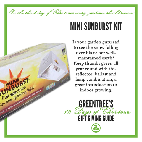 ThirdDayofChristmas_GreenTree_MiniSunburstKit