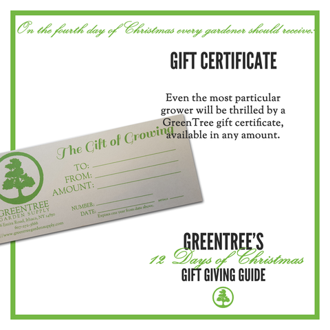 FourthDayofChristmas_GreenTree_GiftCertificate