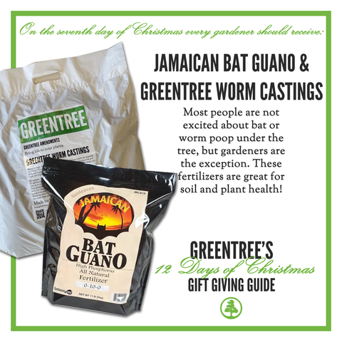 SeventhDayofChristmas_GreenTree_CastingsandGuano