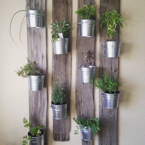 Herbs/Small Space Gardening