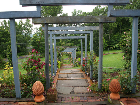 The beautiful Der Rosenmeister Nursery in Ithaca, NY