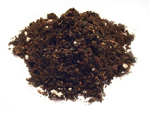 GreenTree Ithaca Blend™ - ORGANIC