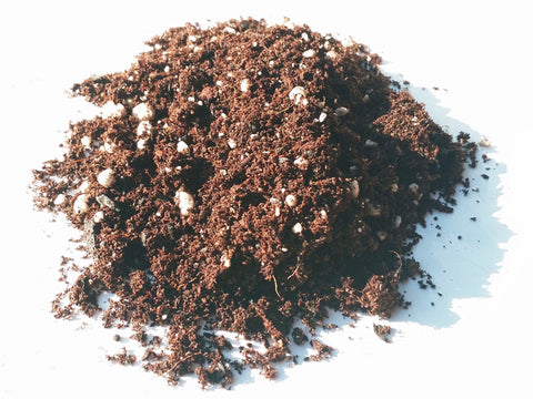 GreenTree Ultimate Blend™ - ORGANIC