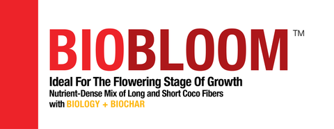 BIOBLOOM