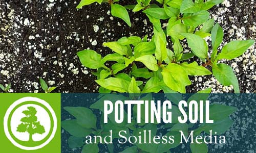 Agricultural Soils
